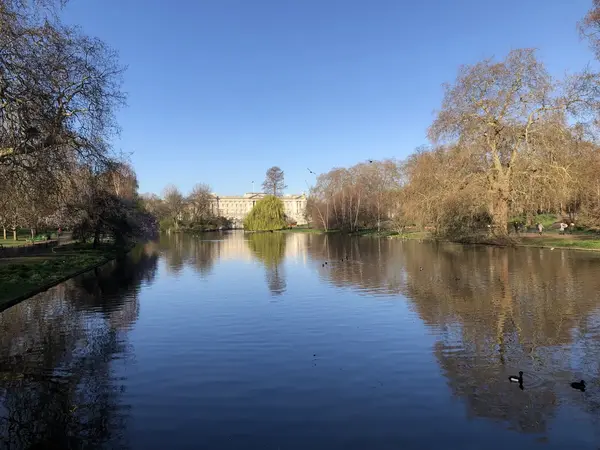 St James Park lake and Buckingham Palace, London